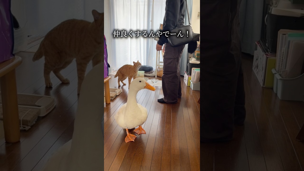 アキコ宅にお泊まり