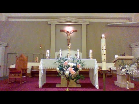 Holy Hour, St Christopher's Panania