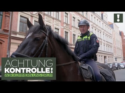 Sympathieträger und kräftige Kollegen! Die Polizeipferde Hannover | Achtung Kontrolle