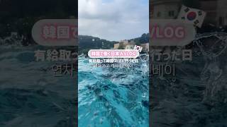 韓国で働く日本人VLOG🇰🇷韓国の人気屋外プールのカリビアンベイに行ってきました🏊‍♀️✨