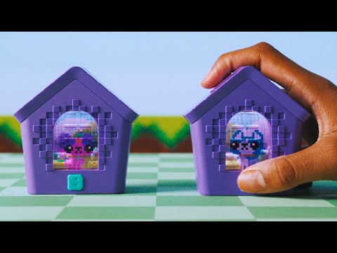 【通信編】わんだーはうす 遊び方動画