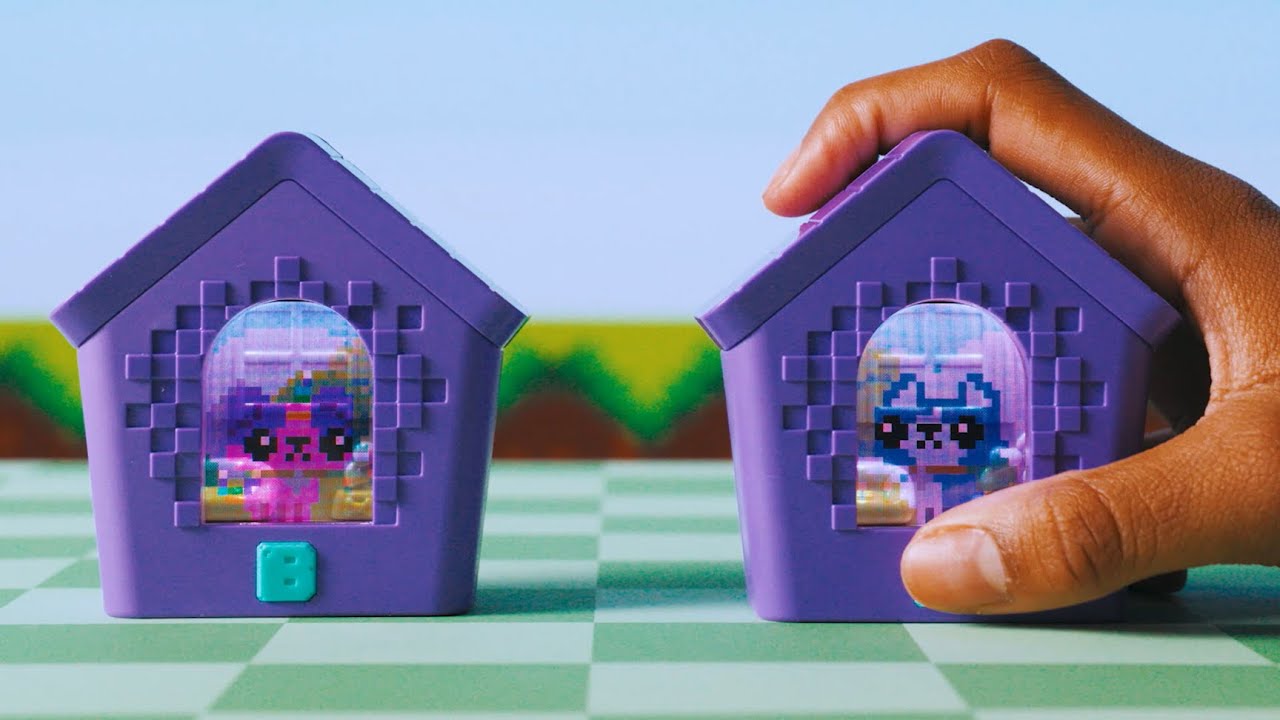 【通信編】わんだーはうす 遊び方動画