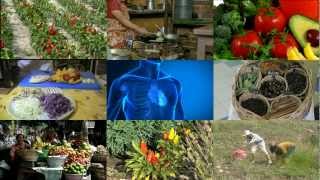 Top 10 Cancer Fighting Foods| Fruits and Vegetables (II)