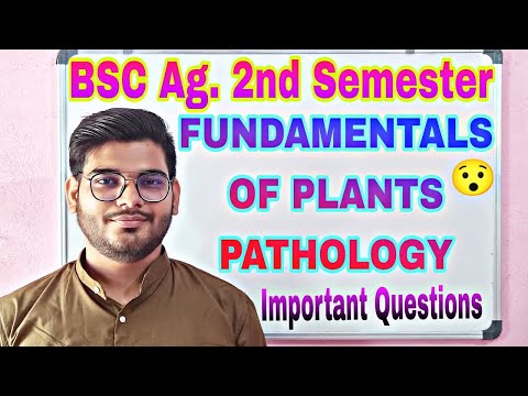 fundamentals of entomology bsc agriculture 2nd semester fundamentals of entomology 2nd semester
