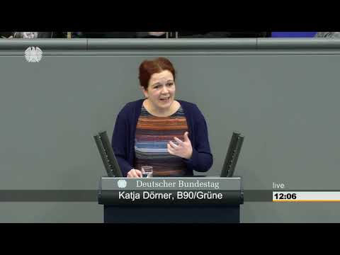 Katja Dörner: Weiterentwicklung der Kinder- und Jugendhilfe [Bundestag 21.02.2019]