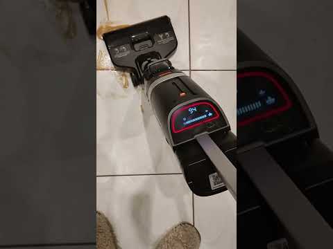 Эксперимент. Мы купили моющий пылесос:)