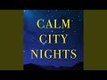 Afternoon In Paris