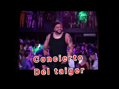 Primer Concierto del taiger en cuba