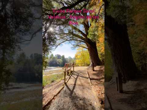 En ruta Parque Saval Valdivia
