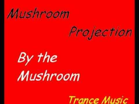 N.T.A Project - By The Mushroom