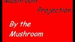 N.T.A Project - By The Mushroom