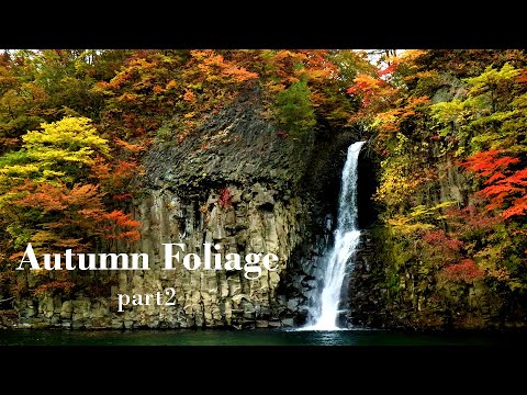 Autumn Foliage part2  | Visit KAZUNO & KOSAKA