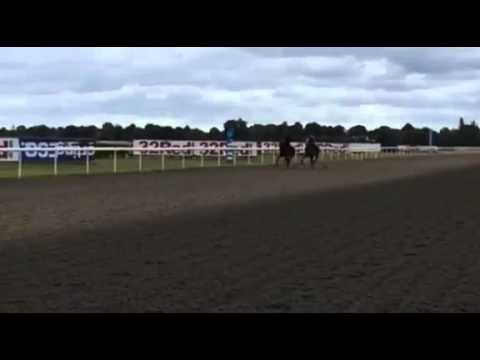 Robert Havlin rides the refurbished AW track at Kempton Park, July 2015