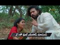 Meghasandesam Ep 653 Preview Jun 12 2026 Zee Telugu