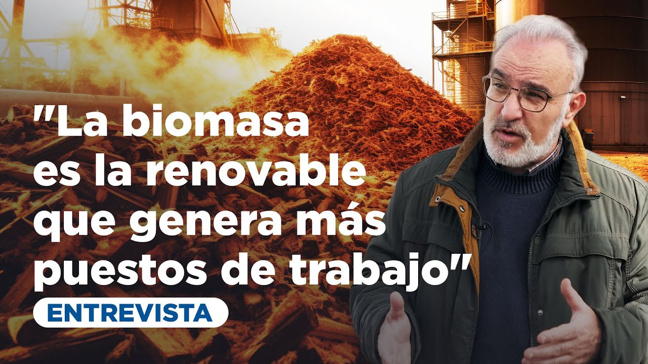 Biomasa: la energía renovable más infravalorada