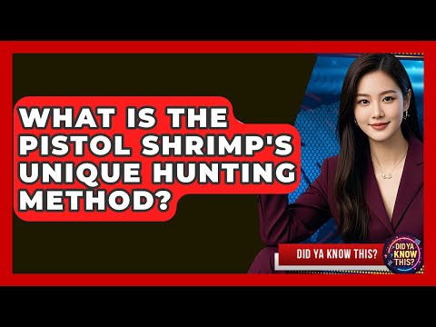 What Is The Pistol Shrimp's Unique Hunting Method? - Did Ya Know This