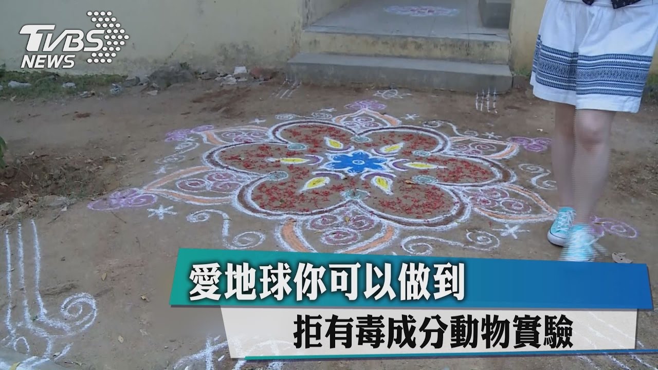 愛地球你可以做到 拒有毒成分動物實驗