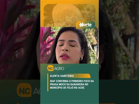 Um alerta importante acendeu para os produtores de banana no interior do Acre.