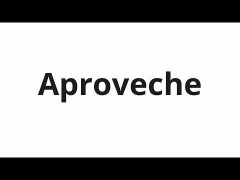 How to pronounce Aproveche