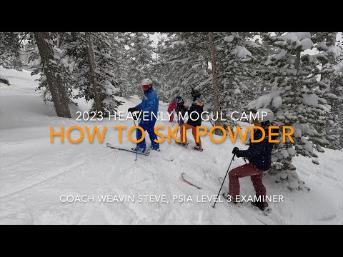 The Essential Tip for Better Powder Skiing