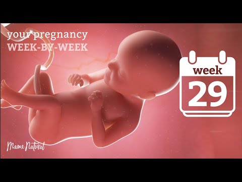 29 Weeks Pregnant - Natural Pregnancy Week-By-Week