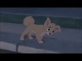 Lady And The Tramp 2 Scamp S Adventure Always There Finnish Small Fandub