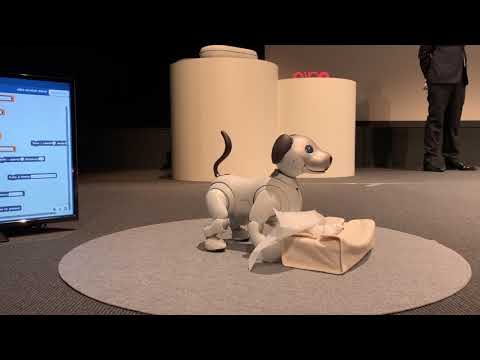 Интерактивная собака робот AIBO от SONY, второе рождение | НьюсАйРу - Новости инновационных технологий