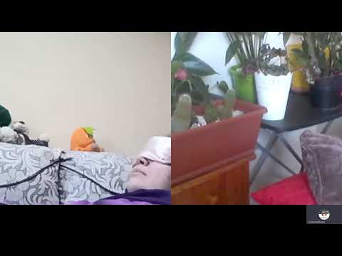 Hipn regresiva 326 Recur  co  hipn cu Gabriela si Alex indepartare efecte si armonizare relatii Mora