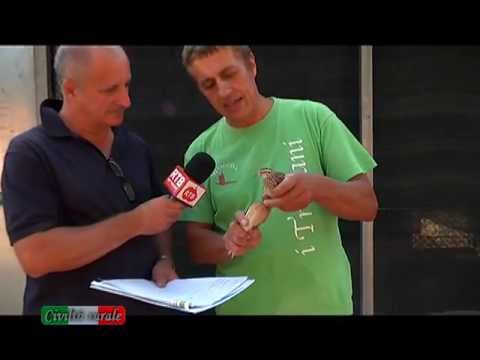 Allevamento Selvaggina AGROVOLO