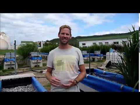 ESR10 Paul Romejn - Introduction