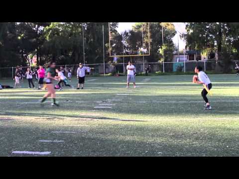 Femenil / Jornada 8 / V 2014