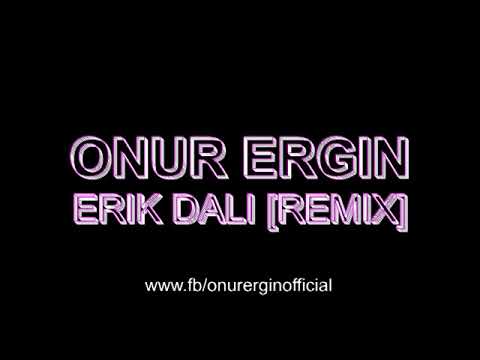 Onur Ergin - Erik Dali (Remix)