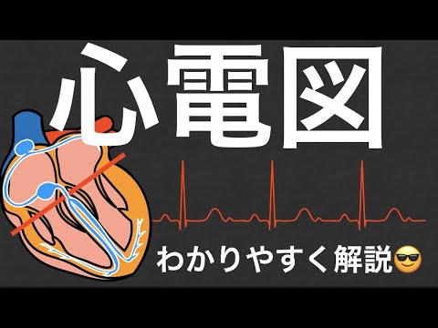 振幅について詳しく解説