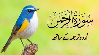 Download lagu Surah Rahman Ψ³ΩΨ±Ϋ Ψ§ΩΨ±ΨΩ
Ω Urdu Tarjuma Ke Sath | Surah Rahman with Urdu Translation | Holy Quran mp3 Download lagu Surah Rahman Ψ³ΩΨ±Ϋ Ψ§ΩΨ±ΨΩ
Ω Urdu Tarjuma Ke Sath | Surah Rahman with Urdu Translation | Holy Quran mp3
