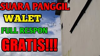 Download lagu suara panggil walet terbaik jernih super respon mp3 Download lagu suara panggil walet terbaik jernih super respon mp3