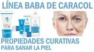 ☯BABA DE CARACOL DE SHELÓ NABEL☯❄