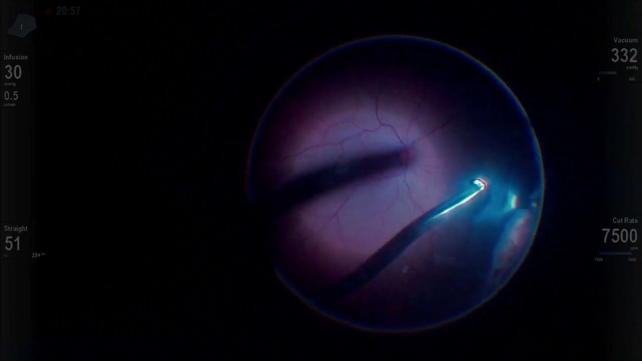 Ahmad Mohamad Ali Hamade-4