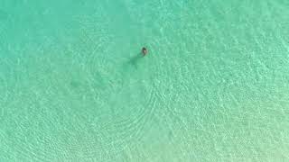 Miyakoisland🏝️