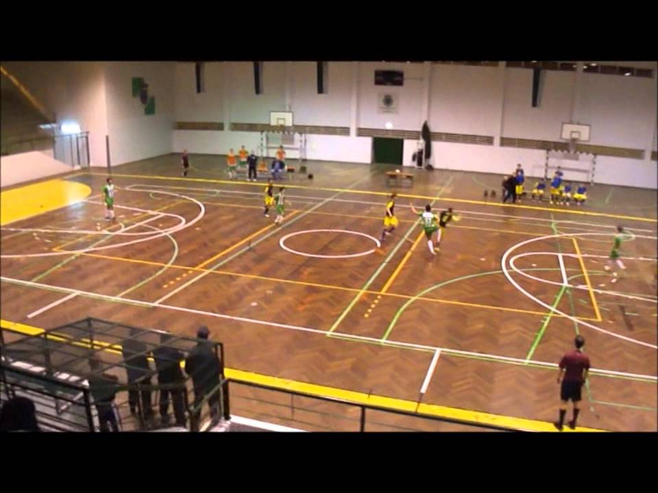 Alfa A.C. 1-1 Arcozelo - 2ª parte (02-02-2013)