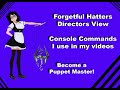 Forgetful Hatters Directors View Console Commands I Use For Skyrim