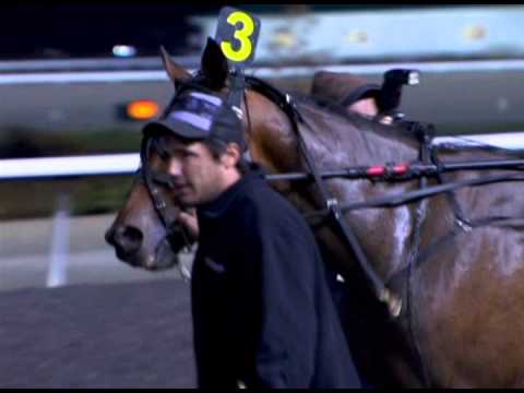2012 O'Brien Award Nominees - Three-Year-Old Trotting Colts