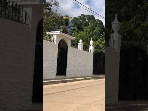 En Las Guásima,en el callejón del matadero.La Habana 🇨🇺