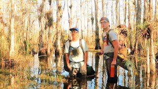 2 Men Make it Out Alive After Encountering Alligators During Everglades Hike