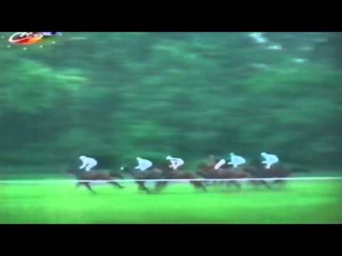 Nagroda Rulera - 22.05.1994 - Limak (Dixieland - Limeira)