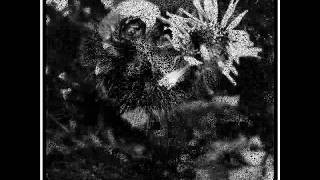 Dämmerfarben - Leaving Eden