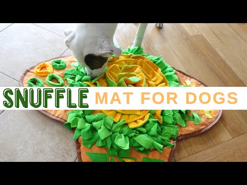 YouTube video about: Are snuffle mats good for dogs?