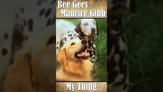 Bee Gees, Maurice Gibb “My Thing” 1970 Movie Clip