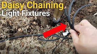 How to Daisy Chain Lights Together | Landscape Lighting