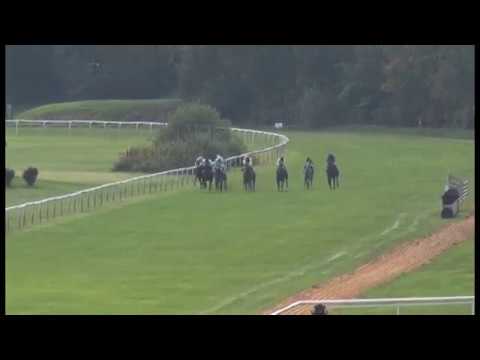 KV, 28. 9. 2018, 5. dostih - 37. Cena zimní královny DS Pegas