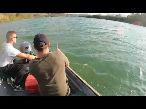 Lost big catfish :( rio Ebro 2022